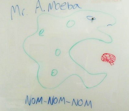 "Mr. A. Moeba" Drawing of "Mr. A. Moeba" on whiteboard