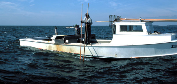 waterman on boat tonging for oysters