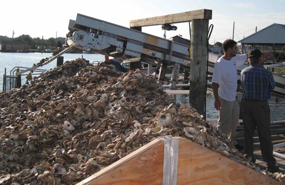 boat to plant spat-on-shell from remote setting tanks