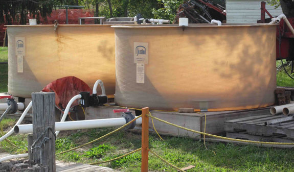 setting tank system provided by remote setting training program
