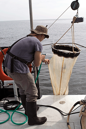 photo of scientist Ryan Woodland using a net to collect plankton