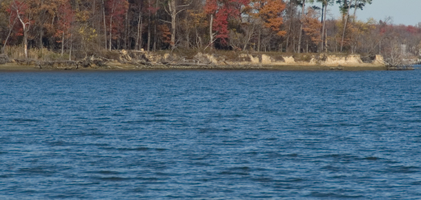 west river shoreline