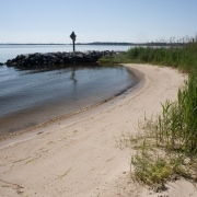 Beach along the Patuxent River with rock breakwater extending into river