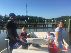 Using Phytoplankton Communities to Track the Restoration of the Anacostia River