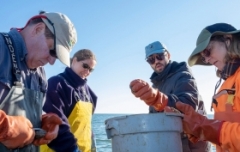 MDNR Shellfish Division surveying oysters