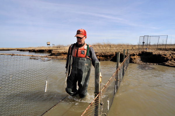 John Barnette crabbing