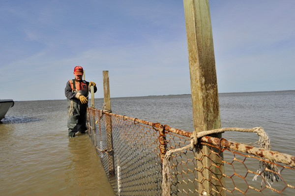 John Barnette crabbing