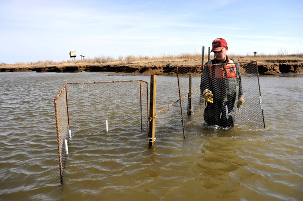 John Barnette crabbing