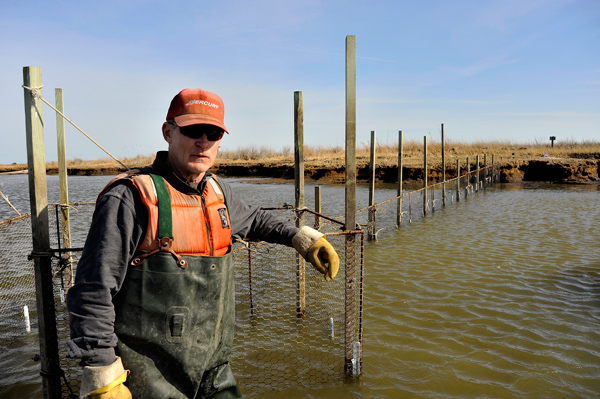 John Barnette crabbing