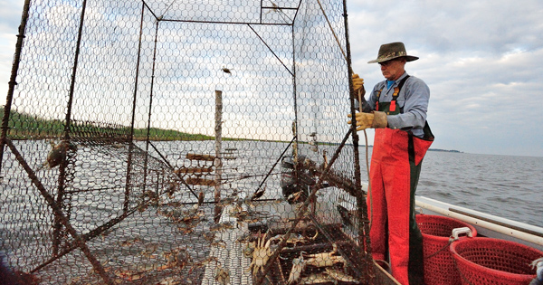 John Barnette crabbing