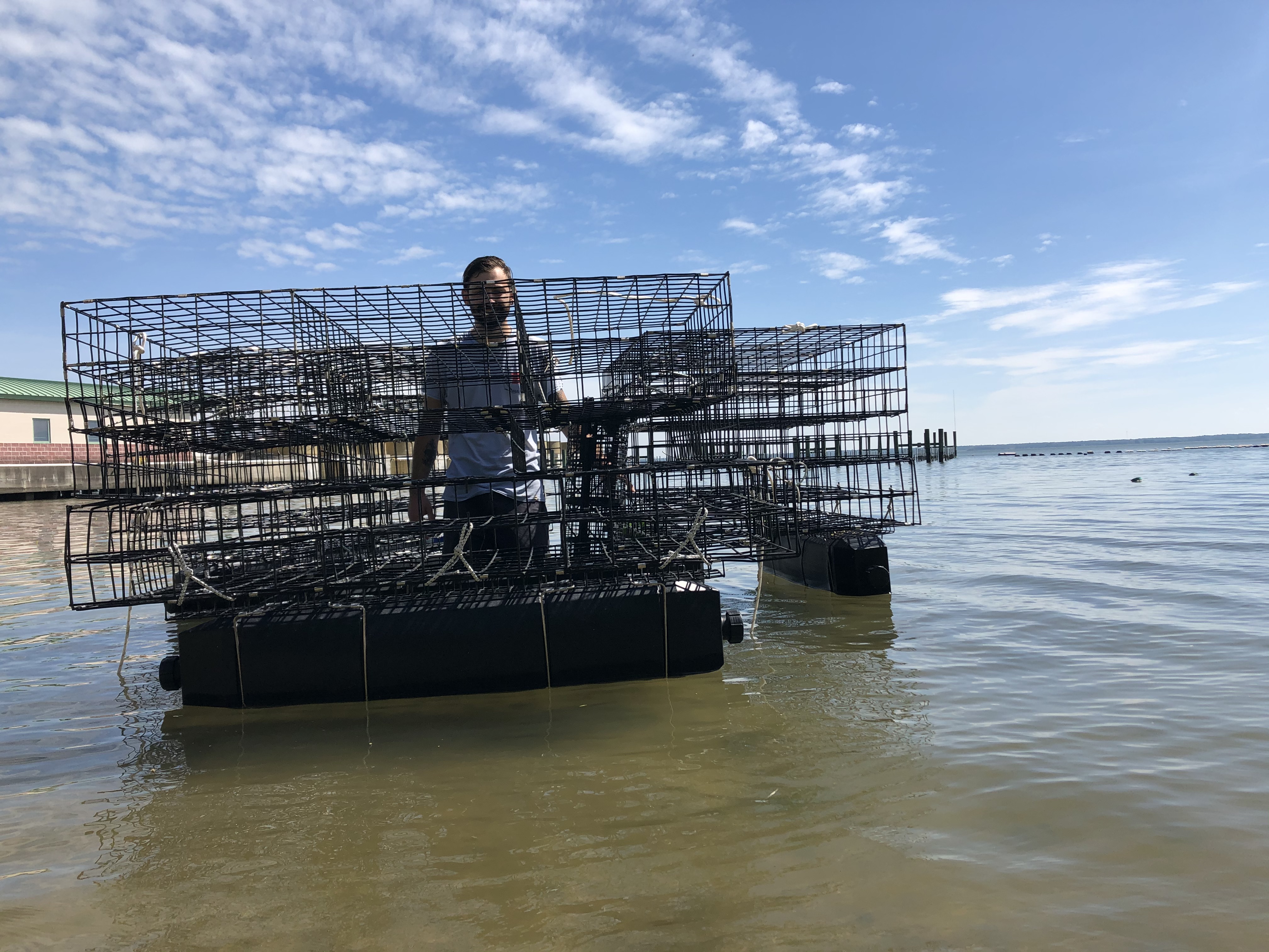 Researchers like me, pictured, are actively working with Maryland oyster growers to better understand how to best use aquaculture gear to promote more efficient production.