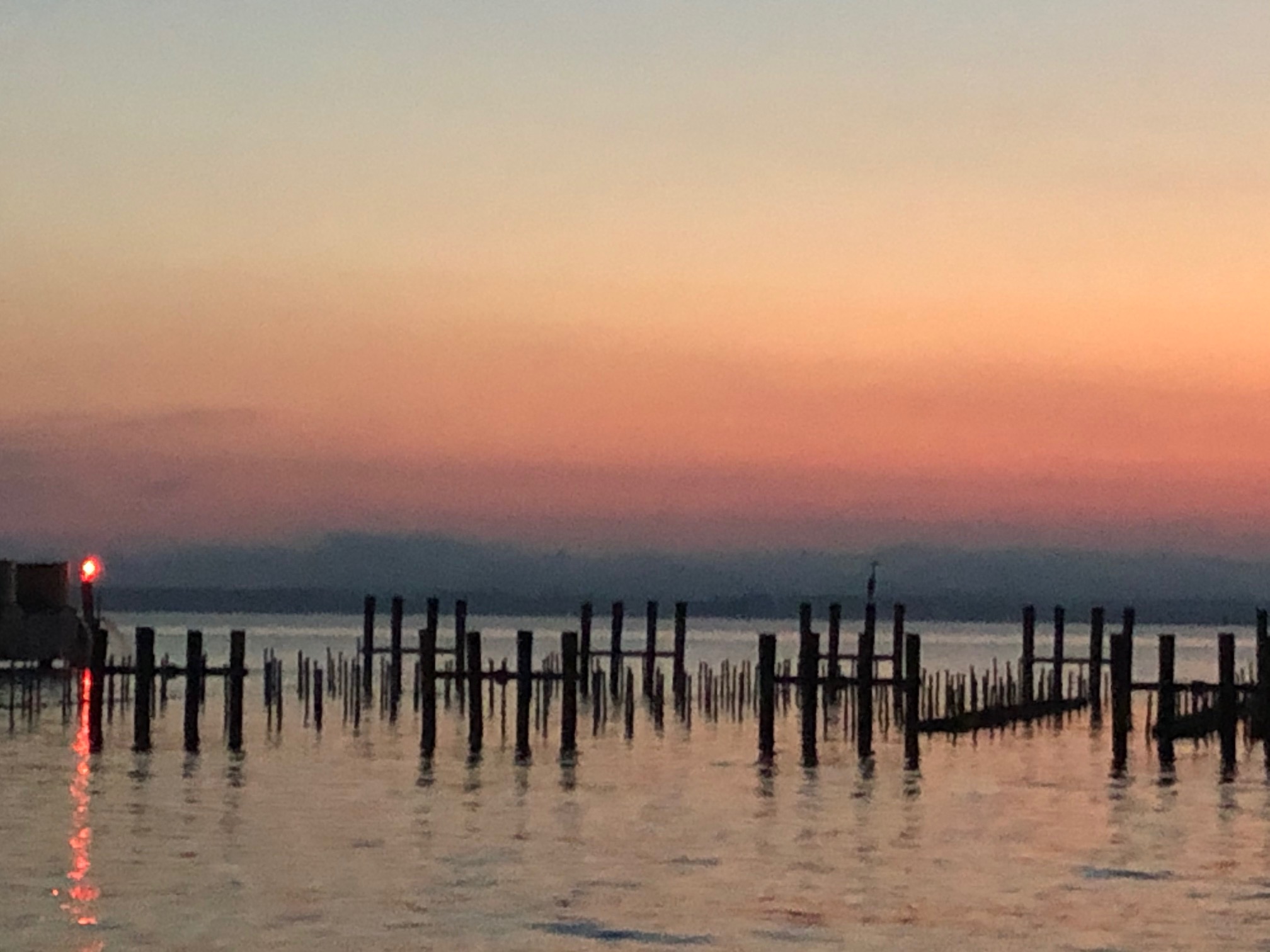 A beautiful overcast night on the Horn Point Oyster Hatchery featuring a resident great blue heron. 