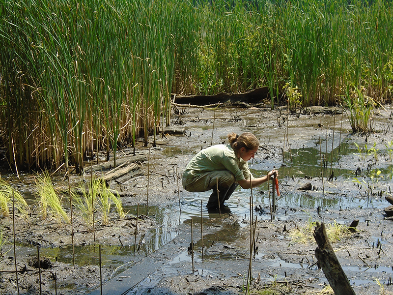 Sylvia Jacobson in a particularly muddy site. Photo courtesy of Eric Buehl