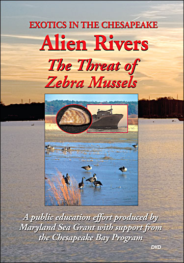 Cover of Exotics in the Chesapeake--Alien Rivers: The Threat of Zebra Mussels (DVD)