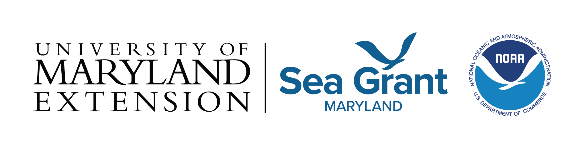 University of Maryland Extension and Maryland Sea Grant logo