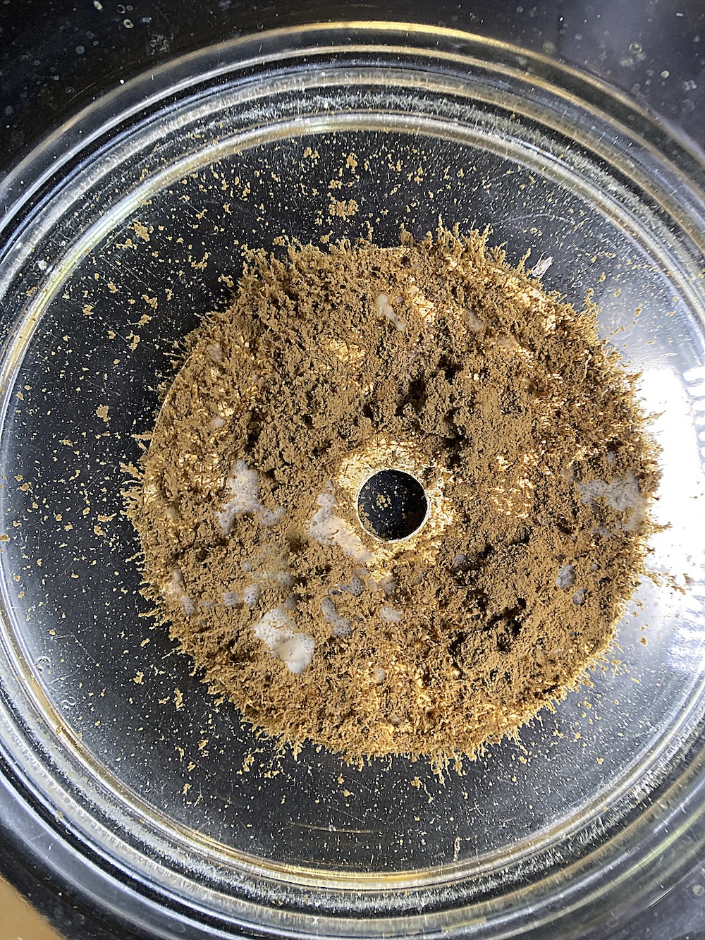 Potomac River—National Harbor Biofilm