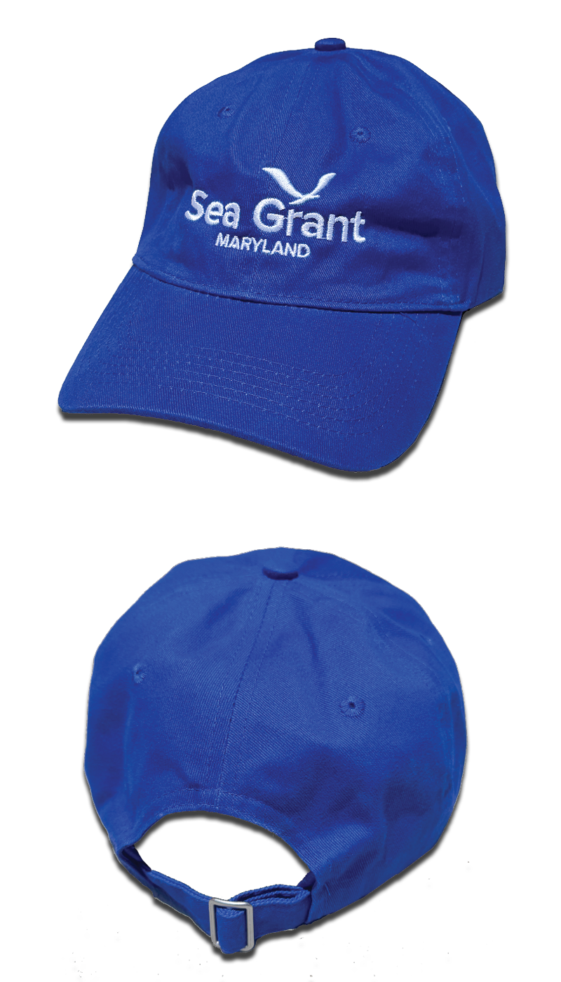 2 images—top image is the front of the hat, which is baseball style with a bill