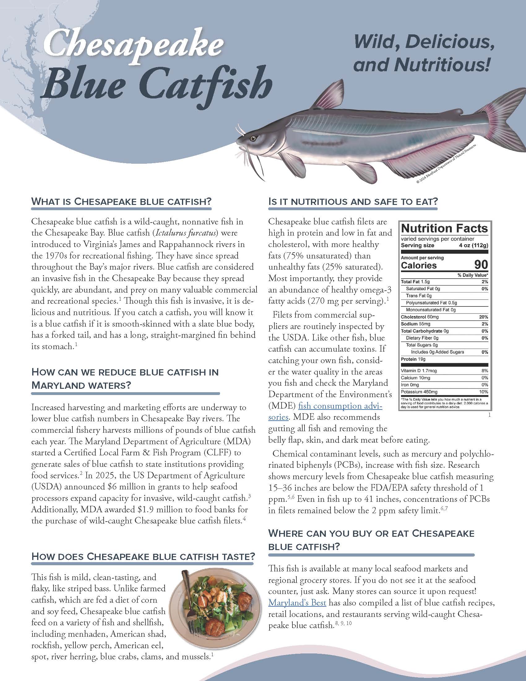 blue catfish nutrition flyer