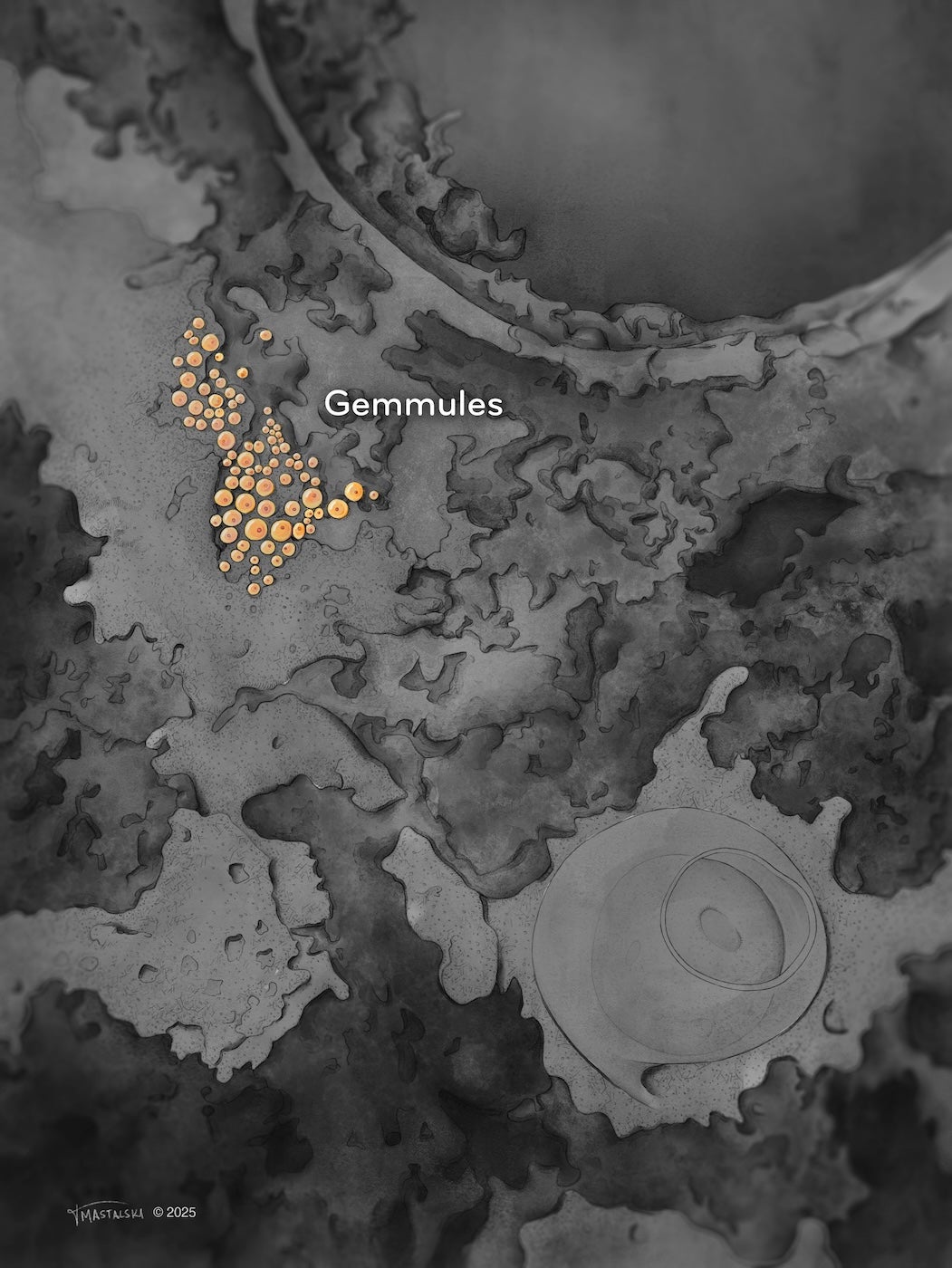 a mass of around 50 warm-colored spheres