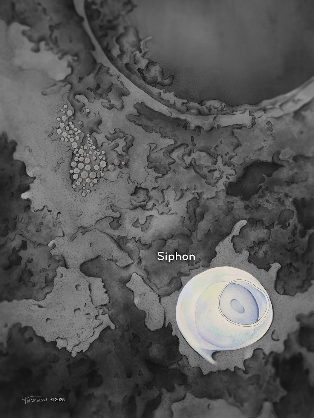 A large, white orb with a circular opening