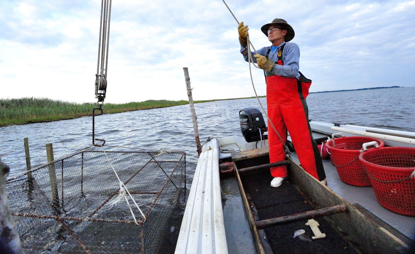 Hauling cage