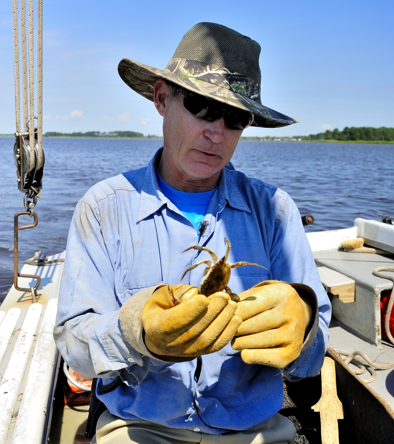 Reading the crab