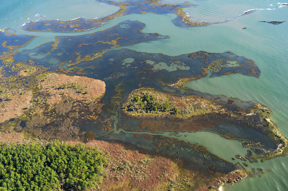 Aerial image of high tide marsh inundation. Photo credit: Scott Lerberg