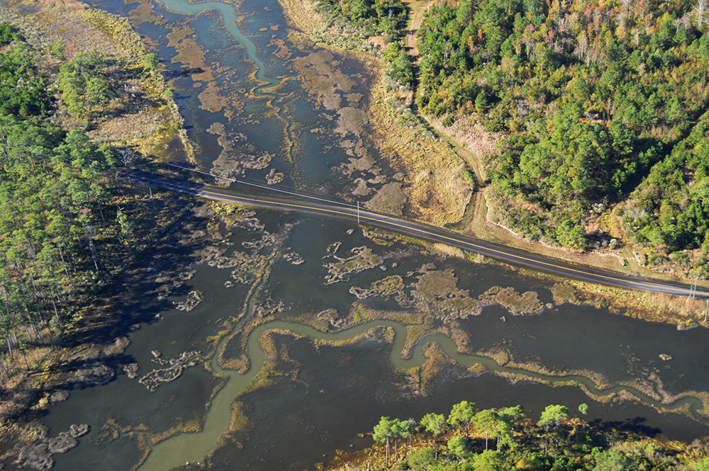 Roadway vulnerability to flooding. Photo credit: Scott Lerberg