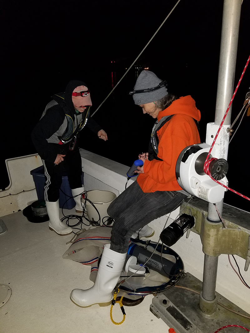 Maryland Sea Grant research fellow Danielle Quill (right) and Katie Lankowicz, a PhD student in Hongsheng Bi’s lab, gather mysids at night, when they are more easily netted on the surface.