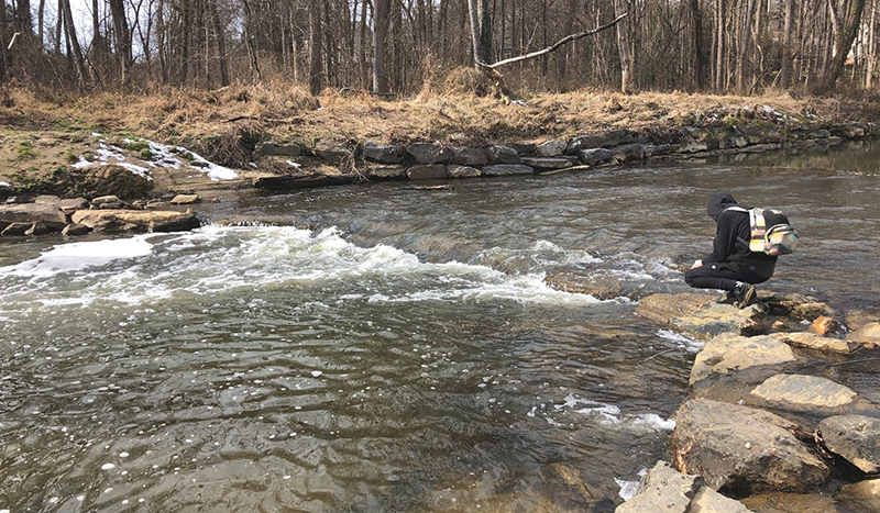 Our team collects samples in Rock Creek Park.