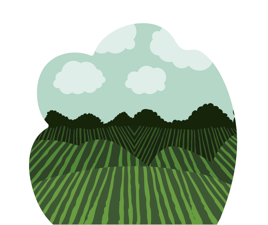 graphic illustration of agriculture field