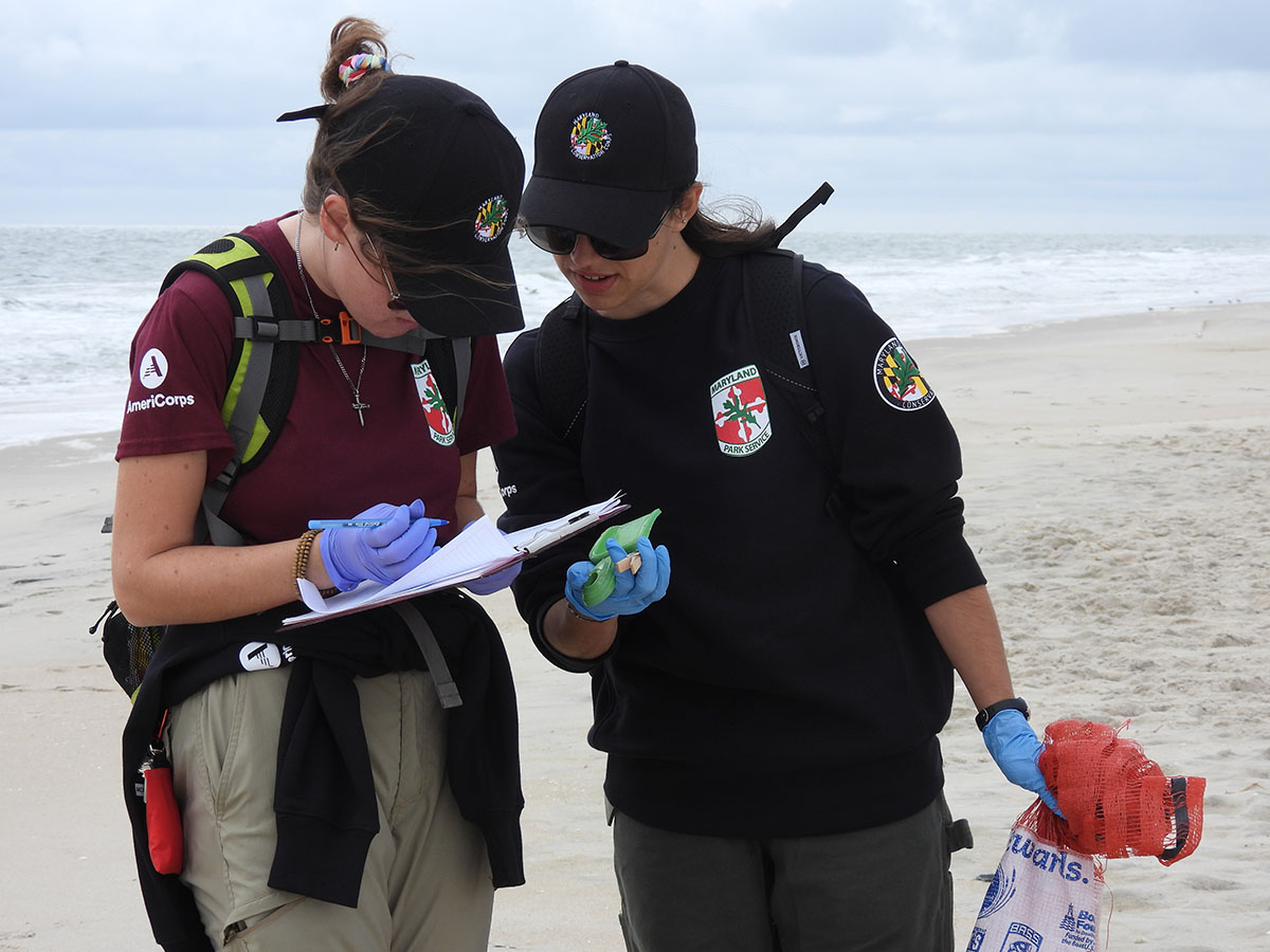 MCC crew members Jessica Miller (left) and Aimee Beardmore record data during the semi-annual balloon debris survey on the beach on Assateague Island. Credit: Wendy Mitman Clarke / MDSG