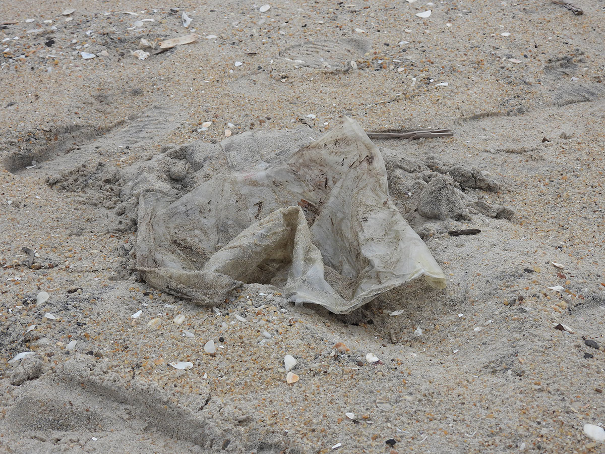 Foil or so-called mylar balloons are basically plastic bags with a bright foil covering. This balloon found on Assateague Island is what they look like once the foil is worn away. Credit: Wendy Mitman Clarke / MDSG