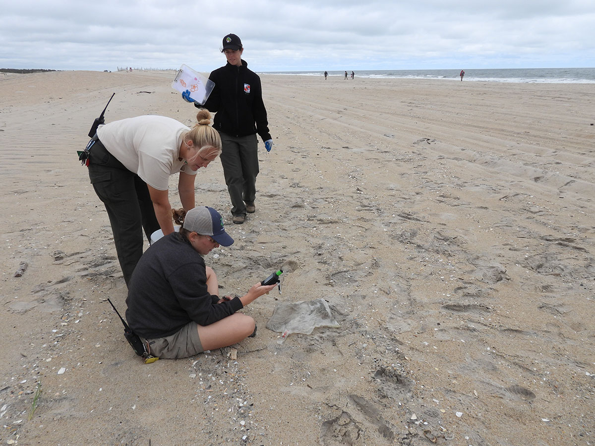 MCC Crew Leader Erin Swale (center) helps naturalist Meg Giitter locate the position of a foil balloon using a hand-held GPS, as Sierra Patterson approaches to record the balloon debris data. Credit: Wendy Mitman Clarke / MDSG