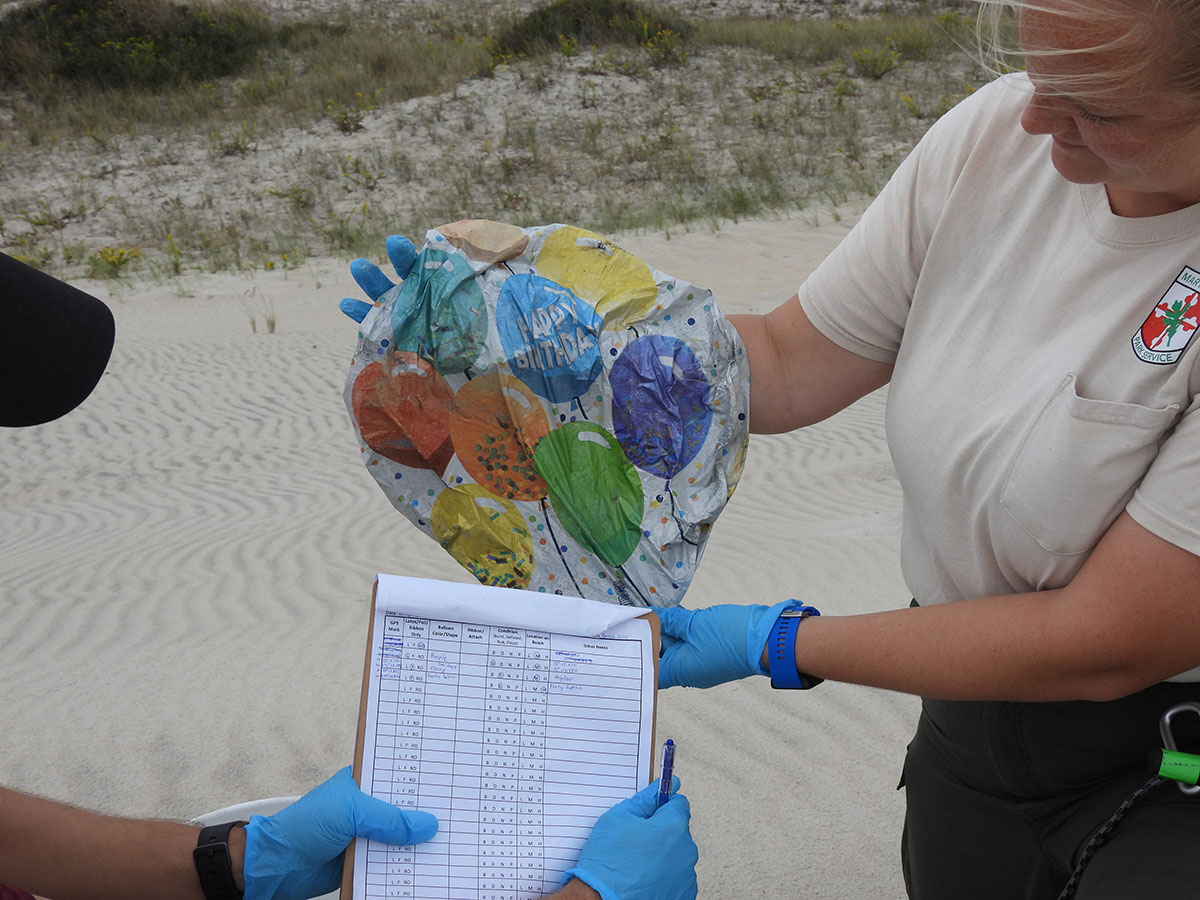 MCC Crew Leader Erin Swale holds a foil balloon found on a dune on Assateague Island. Credit: Wendy Mitman Clarke / MDSG