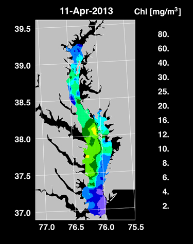 Bay algae growth April 2013