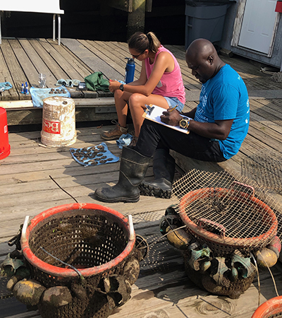 Jasmine Trumbull and Aroni Johnson count and measure mussels