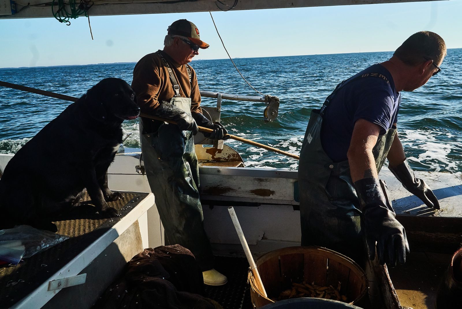 Crab boat