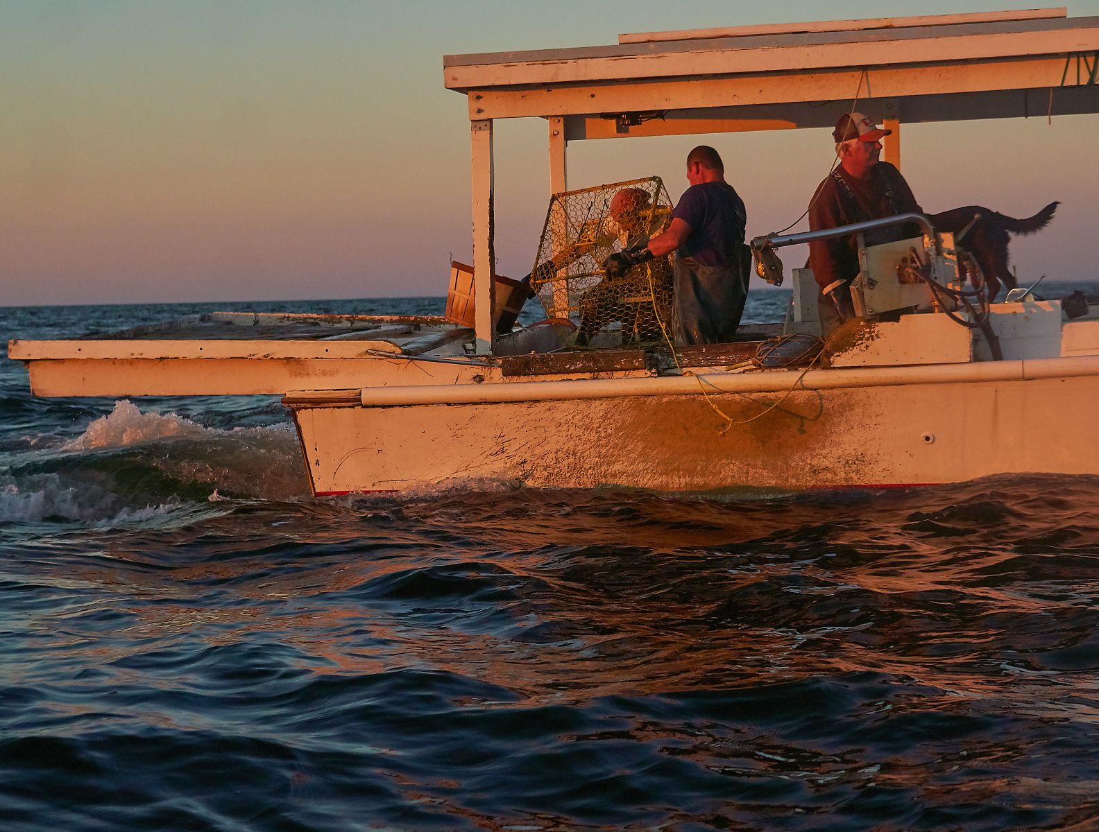 Crabbing at dawn