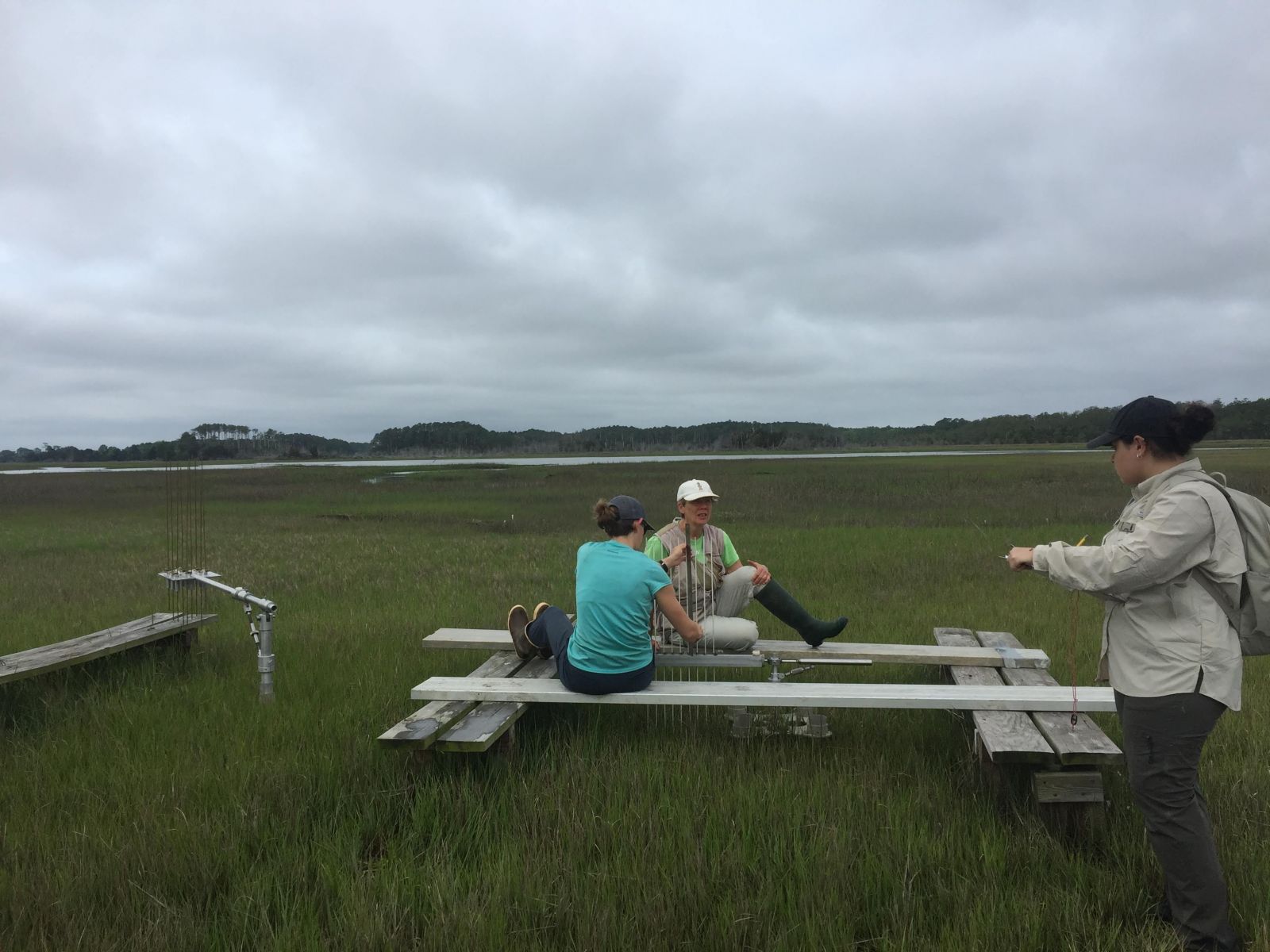 Cora Johnston and Linda Blum take a SET measurement in Phillips Creek Marsh. Credit: Taryn Sudol​