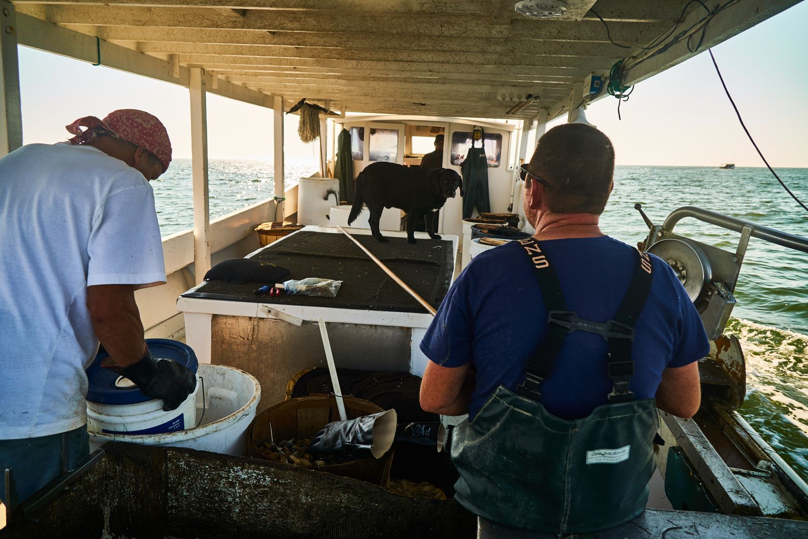 Break Time. As the captain heads his boat eastward to check on his lines of inshore pots, his crew and his dog take some well-earned down time.