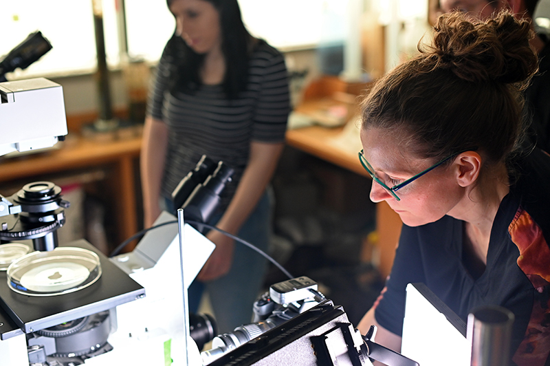 Nicole Lehming makes adjustments to the camera while photographing a biofilm sample in a Petri dish.