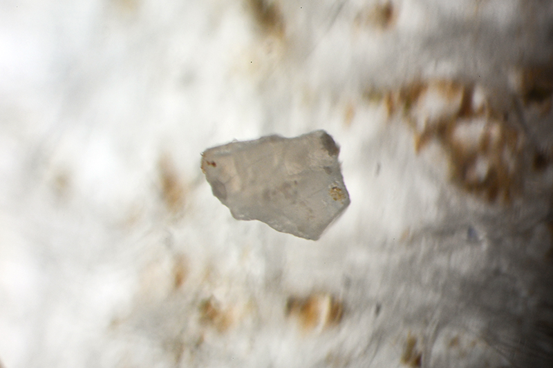 Fragment that may be from a plastic bag, 20x magnification.