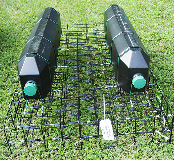 floating pontoon-style oyster growing cage on shore