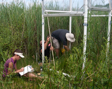 mozdzer and students setting up a pod