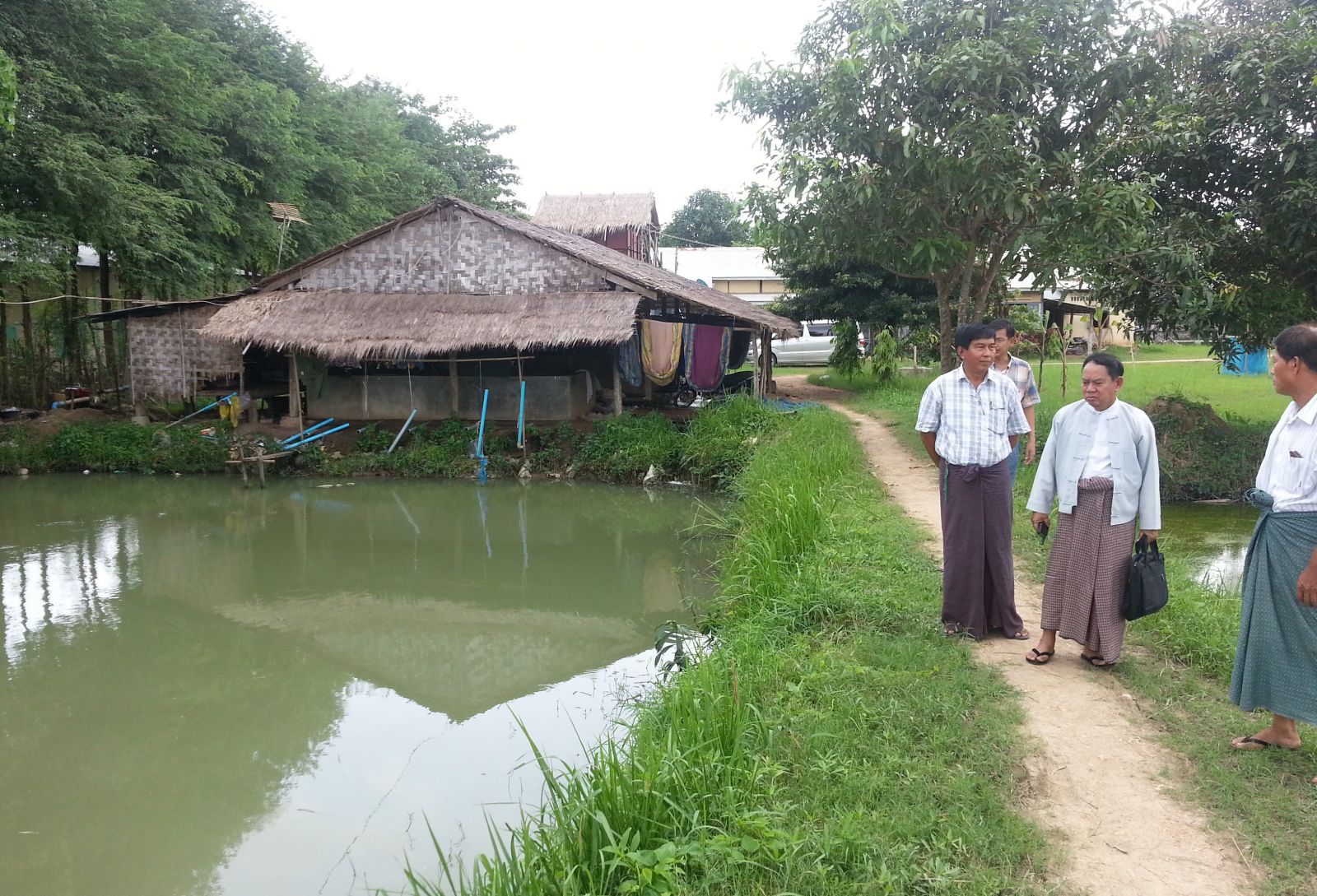 Myanmar Pond