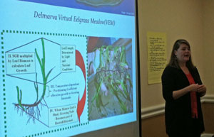 lora harris with slide of eelgrass meadow-Delmarva coastal bays workshop