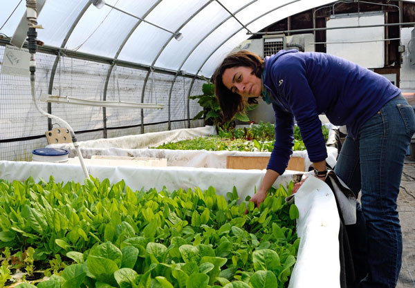 woman bending over plants in greenhouse