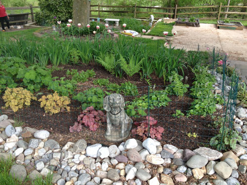 rain garden in Howard County