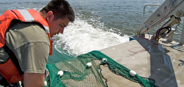 researcher gathering net